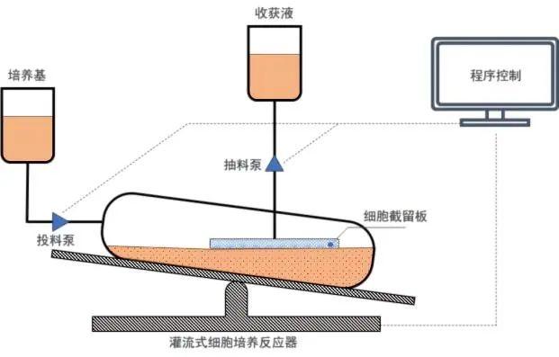 灌流式生物反應袋結(jié)構(gòu)示意圖